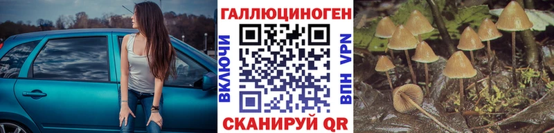 Псилоцибиновые грибы Magic Shrooms  наркотики  Ясногорск 